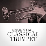 Trumpet Concerto in D Major: III. Allegro graziozo
