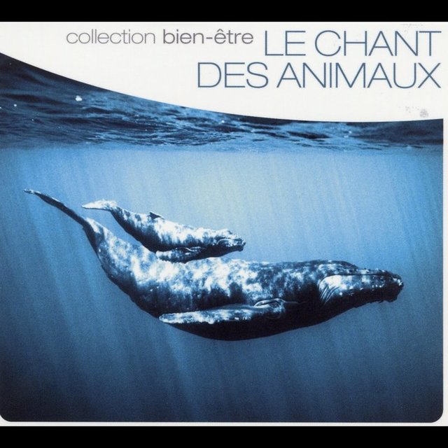 Le Chant des Animaux