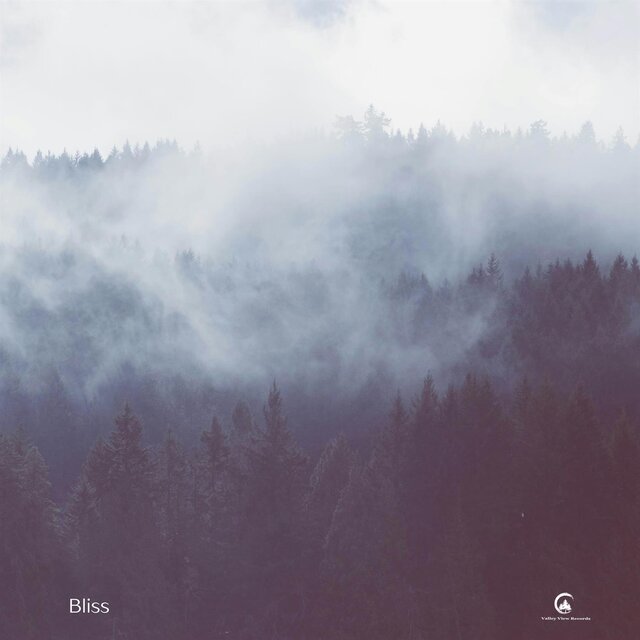 Bliss