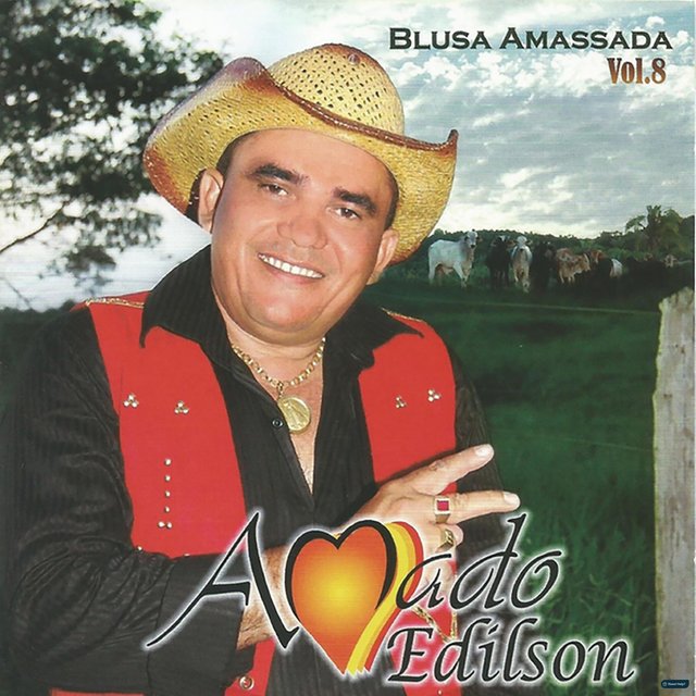 Blusa Amassada, Vol. 8