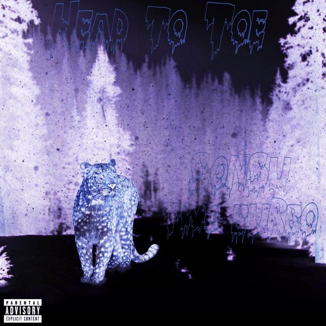 Head to Toe (feat. 2burbo)
