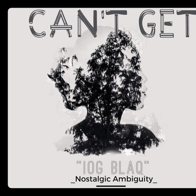 Can't Get