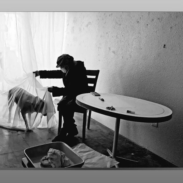 The Fall of Love