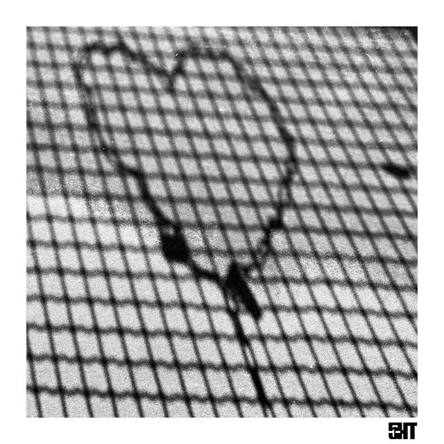 Sin Ti
