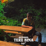 Tere Bina