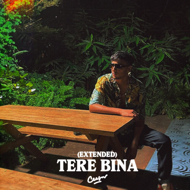 Tere Bina