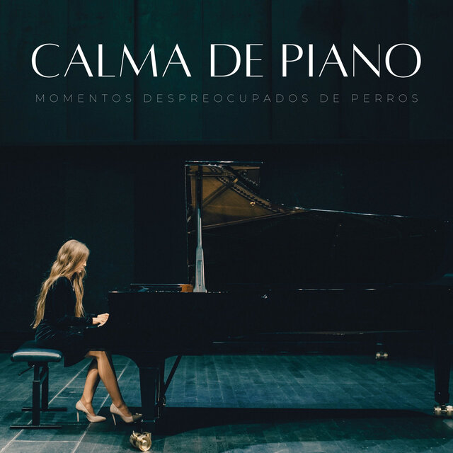 Calma De Piano: Momentos Despreocupados De Perros