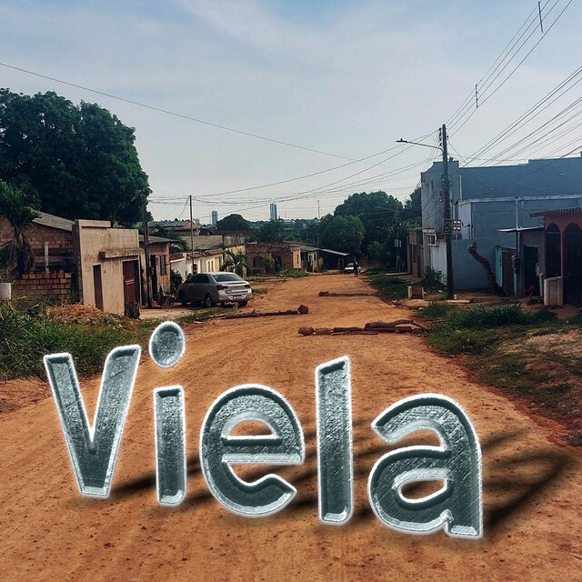 Viela