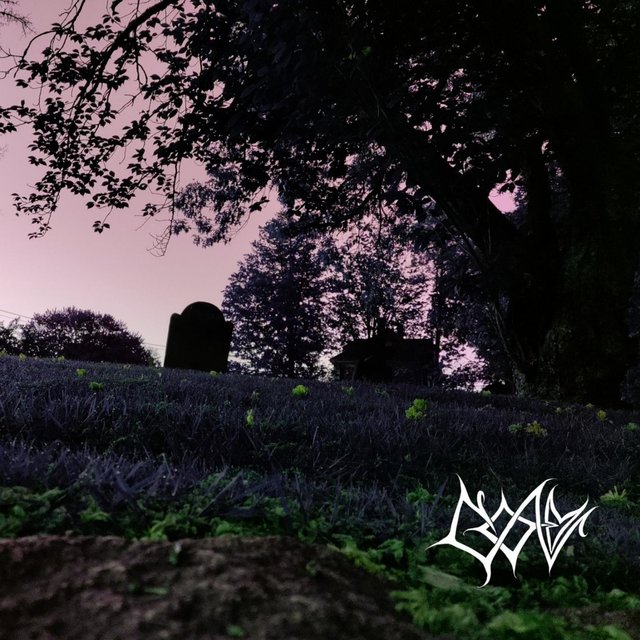 Unmedicated II: Untreated Depression