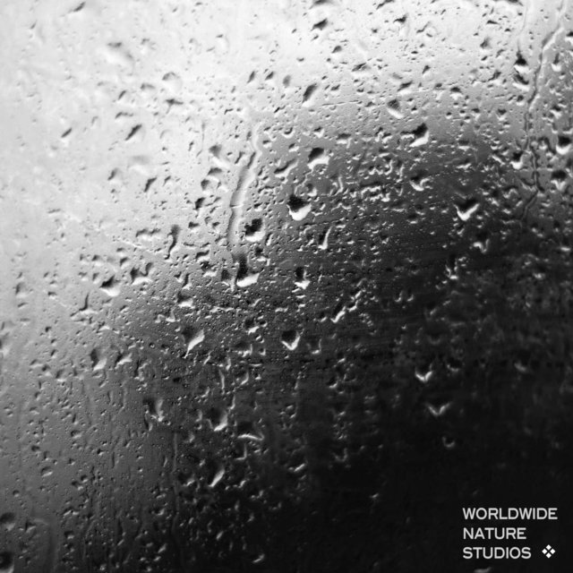 Nightly Rainfall HD