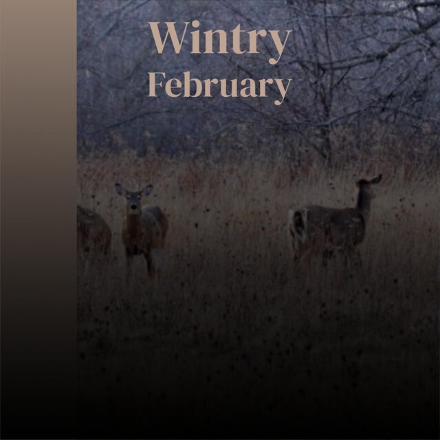 Wintry February