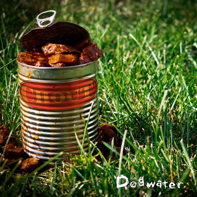 Cover art for album Dogwater by Chout