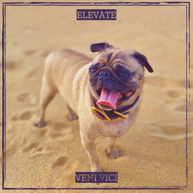 Elevate