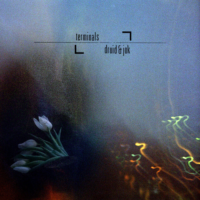 Terminals