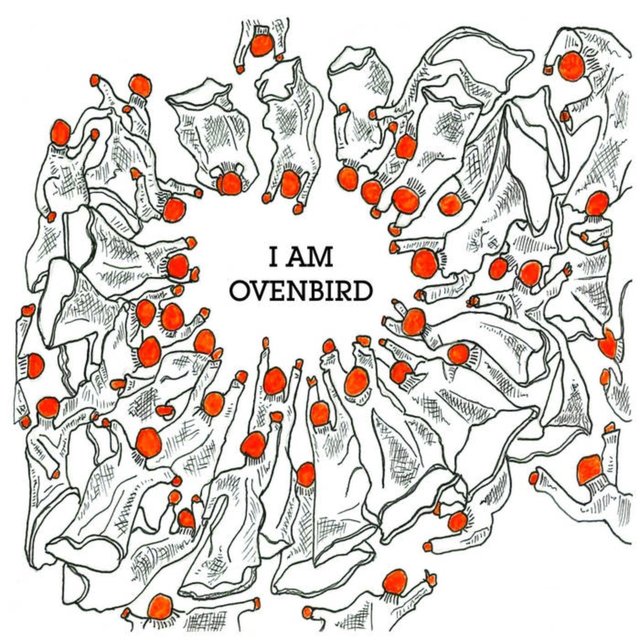 I Am Ovenbird