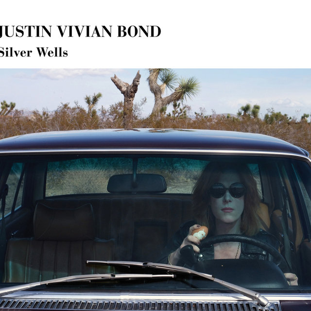 Silver Wells