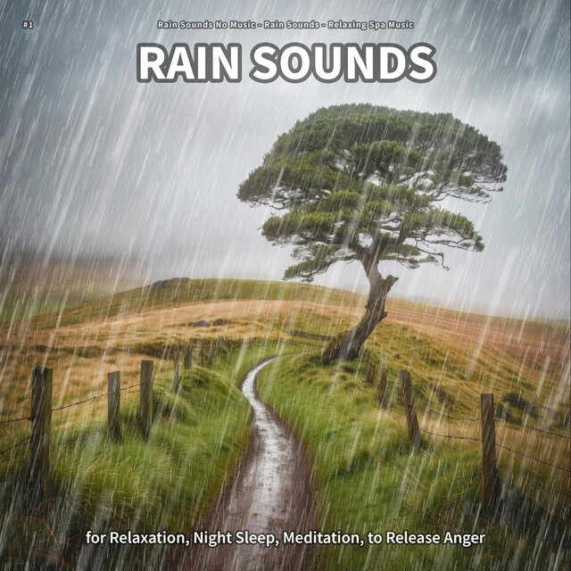 #1 Rain Sounds for Relaxation, Night Sleep, Meditation, to Release Anger