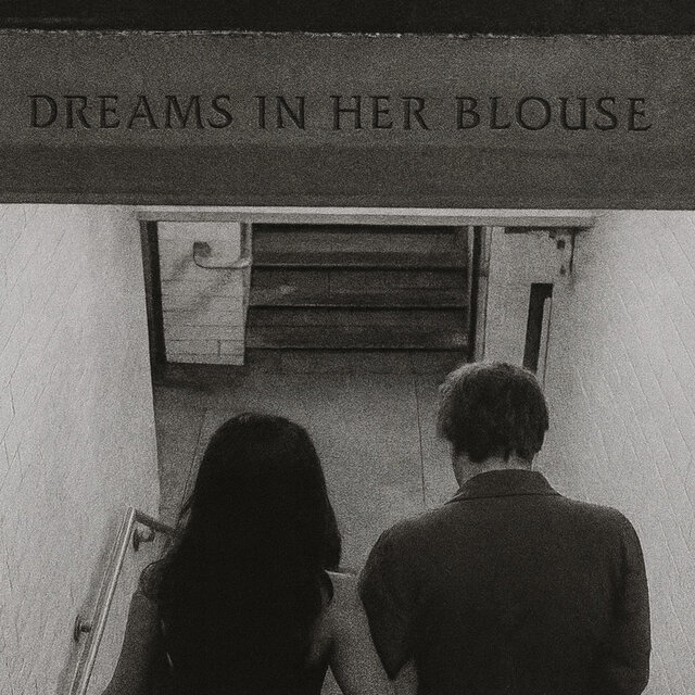 Dreams in Her Blouse