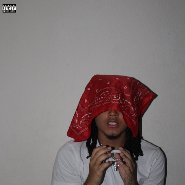 ShakeBack / Dogfood