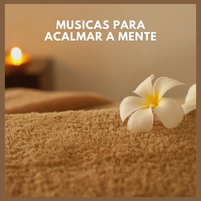 Músicas Para Acalmar a Mente