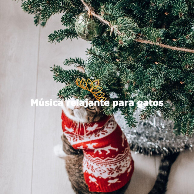 Música relajante para gatos