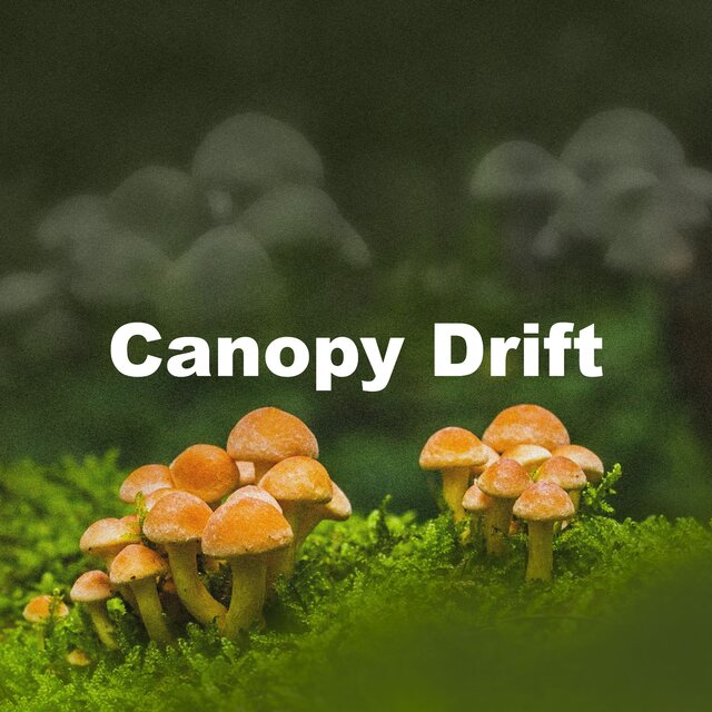 Canopy Drift