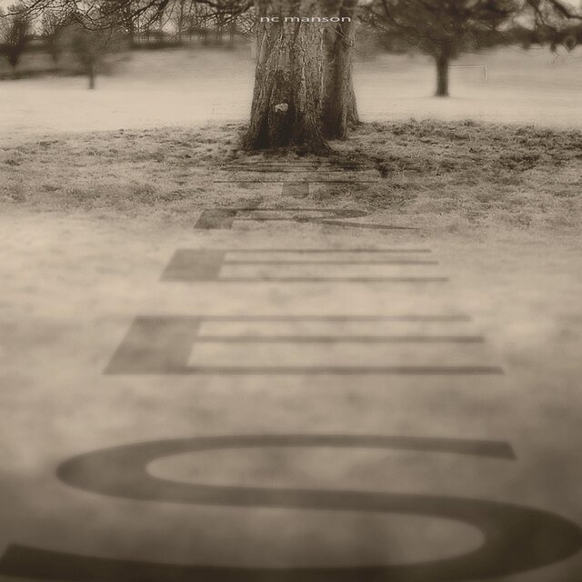 8 Trees