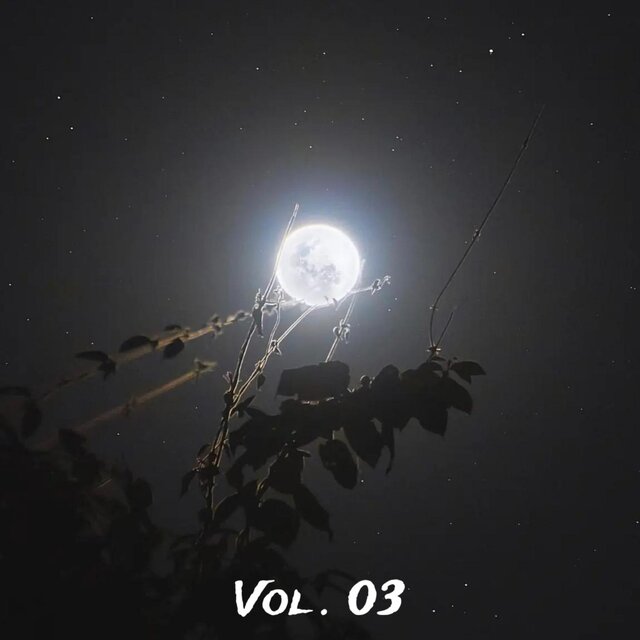 Vol. 03