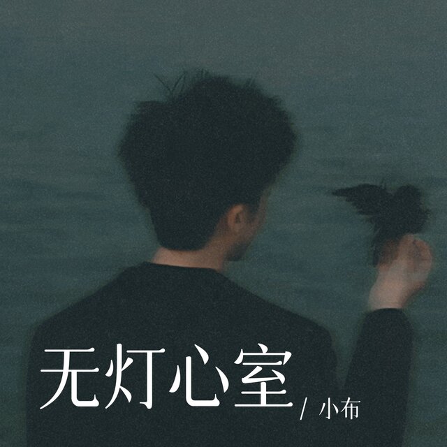 无灯心室