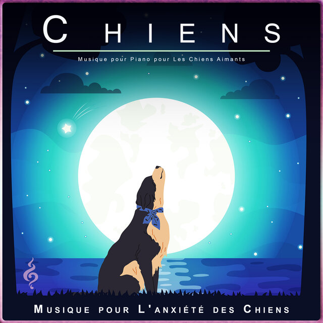 Chiens : Musique pour Piano pour Les Chiens Aimants