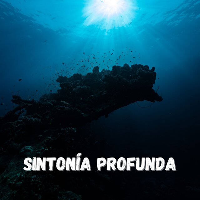 Sintonía Profunda