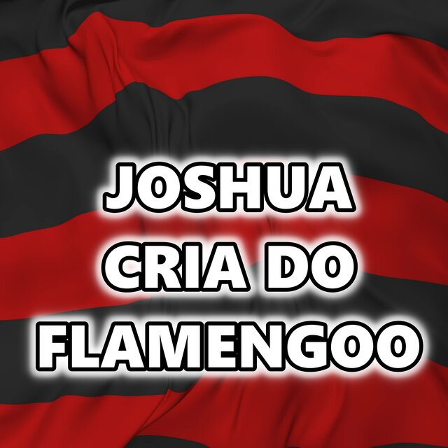 JOSHUA CRIA DO FLAMENGOO