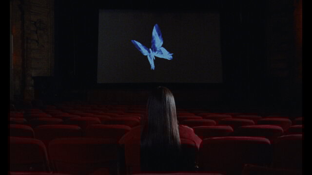 BUTTERFLY EFFECT