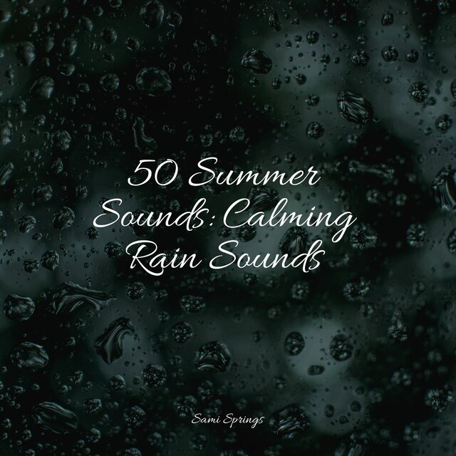 50 Summer Sounds: Calming Rain Sounds