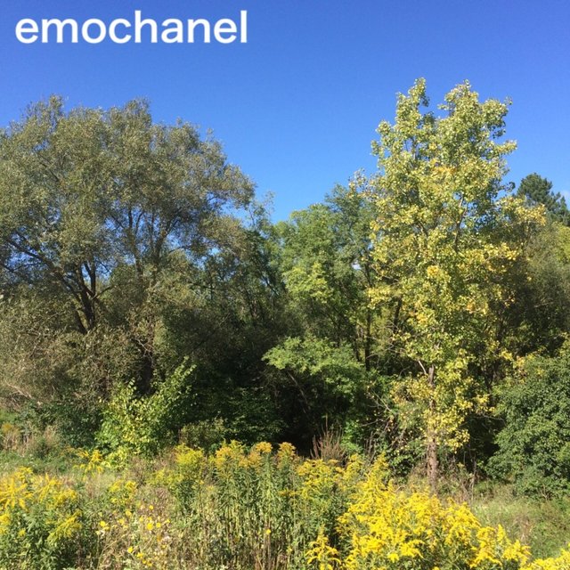 Emochanel
