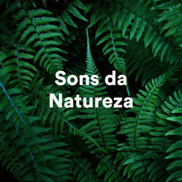 Sons da Natureza