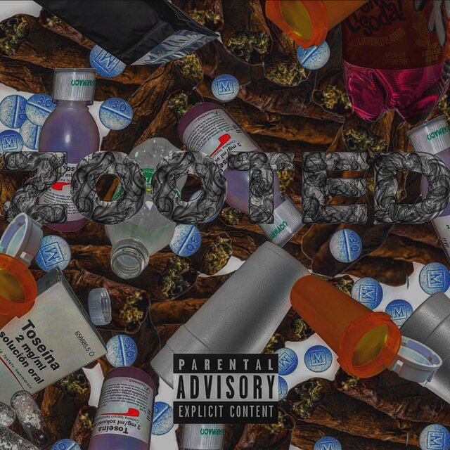 ##ZOOTED## EP