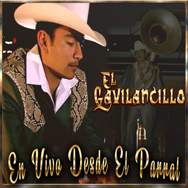 En Vivo Desde el Parral