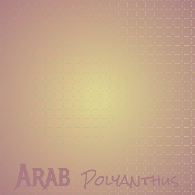 Arab Polyanthus