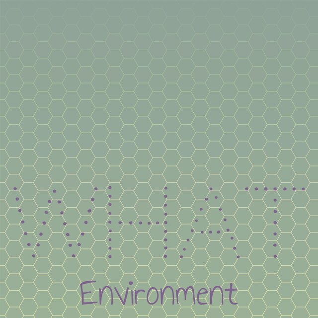 What Environment