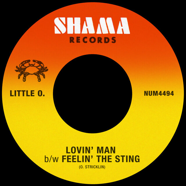 Lovin' Man / Feelin' The Sting