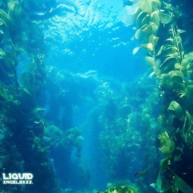 Liquid