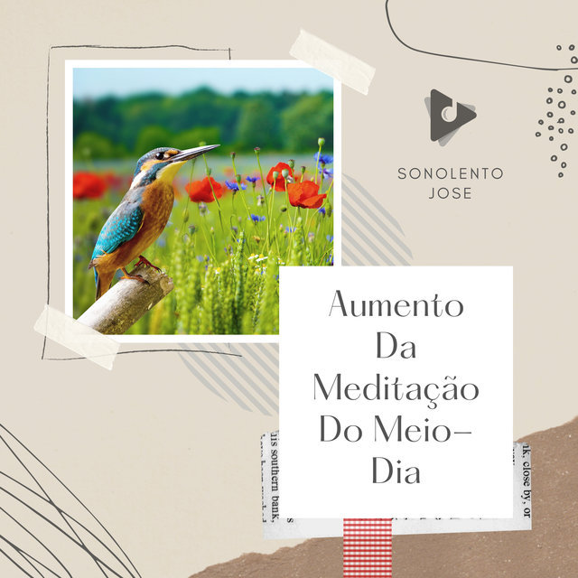 Aumento Da Meditação Do Meio-Dia