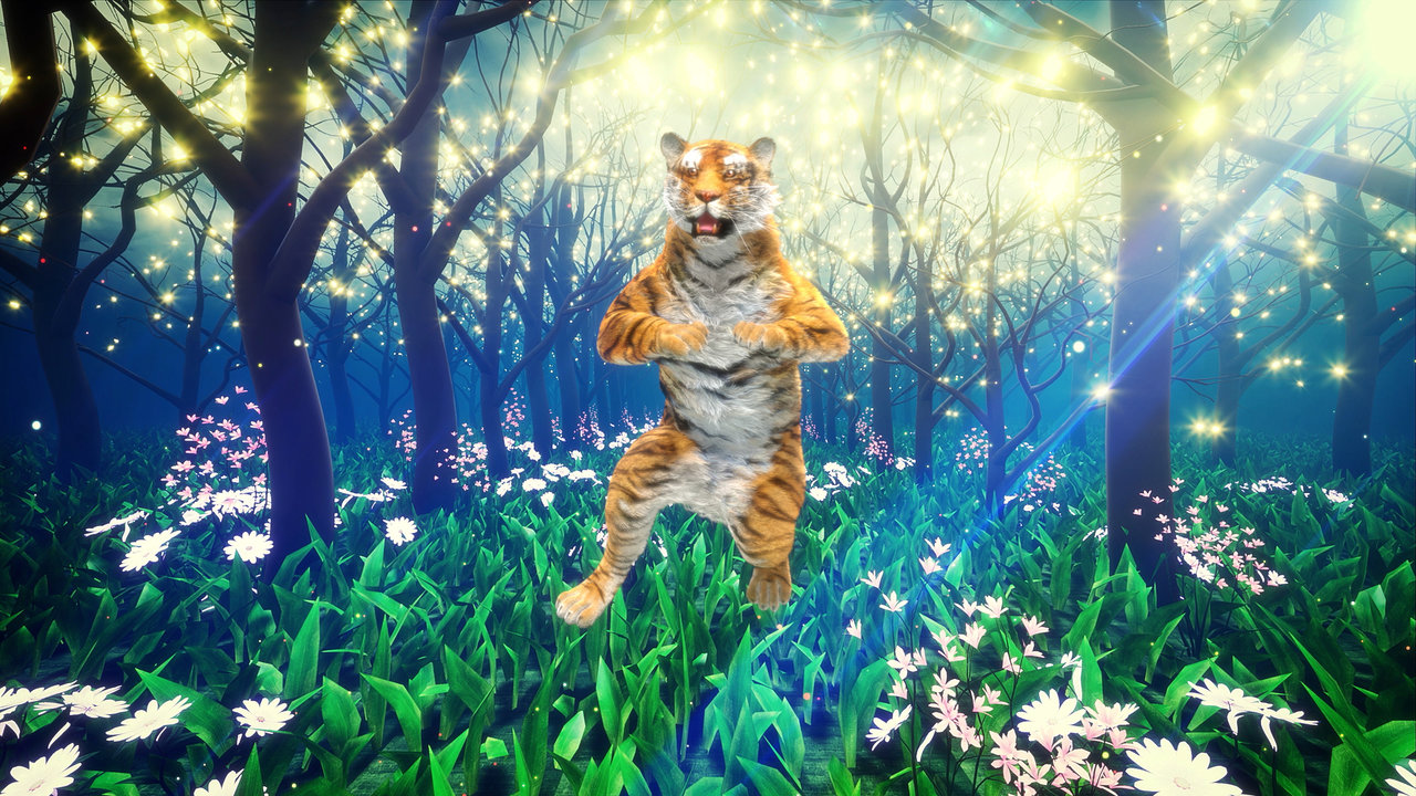 Jungle