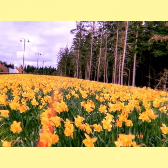 Seasons