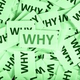 Why Should I