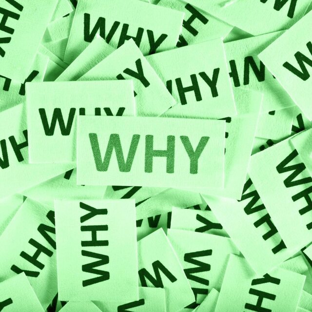 Why Should I (Green Light)