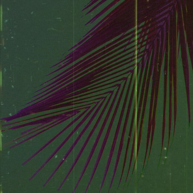 Elevate