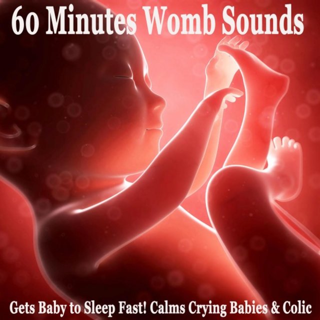 60 Minutes Womb Sounds (Gets Baby to Sleep Fast! Calms Crying Babies & Colic)