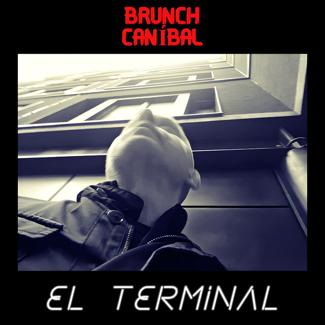 EL TERMINAL